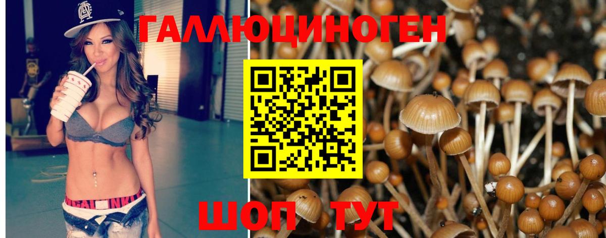 Галлюциногенные грибы Psilocybine cubensis  Вход с VPN  Тамбов 